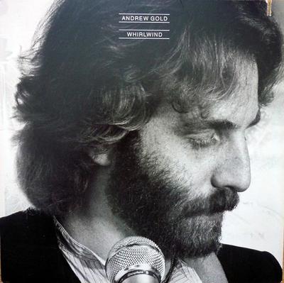 LP Record ANDREW GOLD - Whirlwind 6E264 ASYLUM 1980 Japan Rock Used