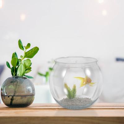 Fische & Meerestiere – Aquarien-Einrichtung