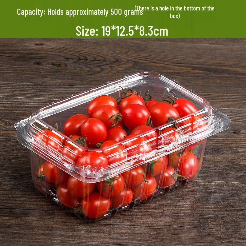 

Rectangular Disposable Plastic Food Container with Lid