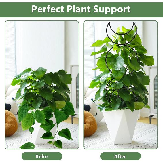 Trellis for Climbing Plants Indoor, Garden Trellis with 4 Different Black Iron Patterns and Ties, Plant Trellis for Potted Plants for Vine Ivy Flower