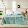 Shanshan Artemisia Anti-Mosquito Summer Quilt