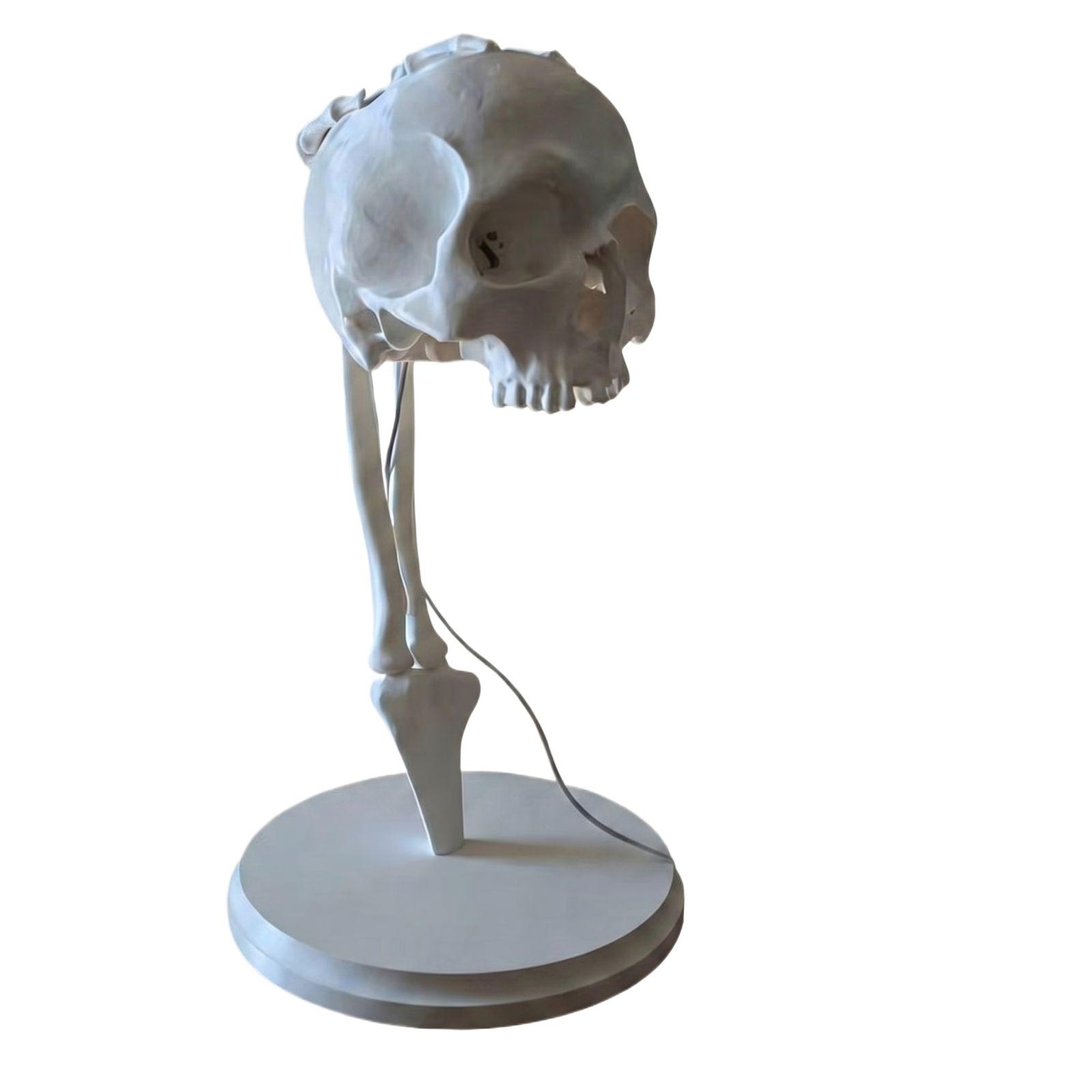 

Creative Resin Skull Desk Lamp with Illuminated Skull Design for Home Office Desktop Decoration Unique Skeleton Night Light Accent Piece One Size