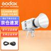 Godox LE200D Professional LED Video Light