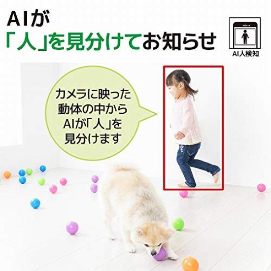 IeCame cameră de rețea RS-WFCAM1