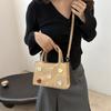 This year's popular small bag women's 2025 new fashionable versatile messenger bag super hot portable work small bag