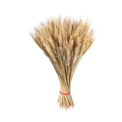 Straw Dried Flower Home DIY Decoration