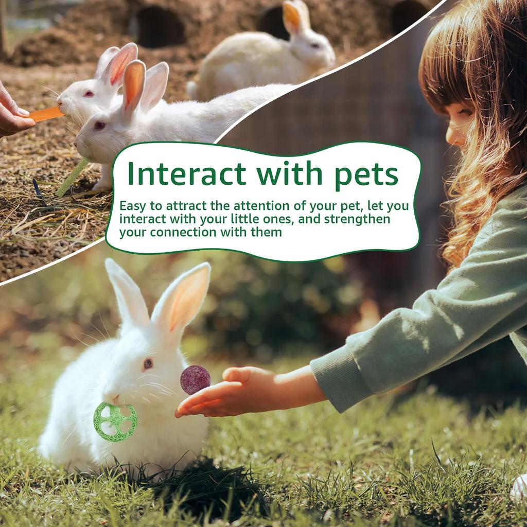 23Pcs Rabbits Chew Toys Wood Small Pet Boredom Breakers Cage Accessories Pet Tooth Grinding Snacks Guinea Pig Dragon Cat Fun Toy