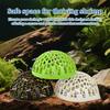 Shrimp Hide Fish Tank Shelter For Betta 2 Pieces Decorative Fish Tank Hide For Shrimp Small Aquatic Life Enthusiasts Desk Home