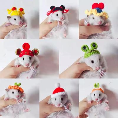 Haustier Hamster Wellensittich Nymphensittich Pfingstrose Papagei Vogel Hut Wolle Häkeln Gestrickte Papagei Hut Kleine Tiere Mini Hut Vögel Dekor Spielzeug