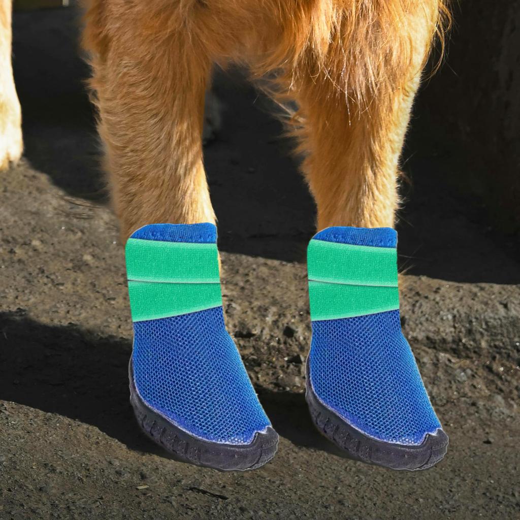 20 Stück Haustier-Bootie-Verschlüsse Rutschfeste Sockenbänder Verstellbare Riemen für Hunde Katzen Regenschutz Grün Haustier Pfote Schuhriemen