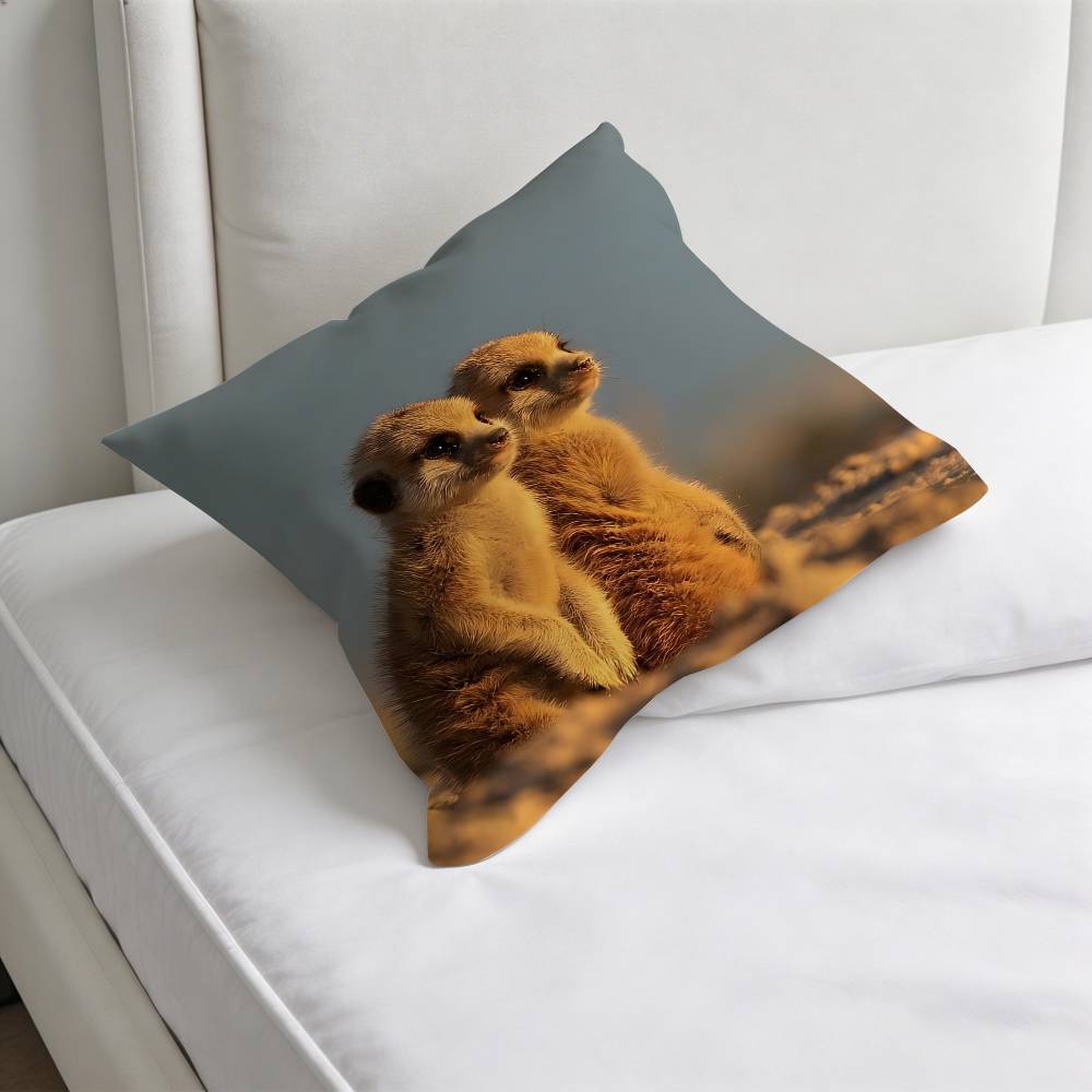 Cute Baby MMeerkat Fashion Square Pillow Case Durable Throw Pillow Cover for Sofa Couch Chair