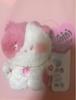 [USED] LINE FRIENDS Minini Mascot