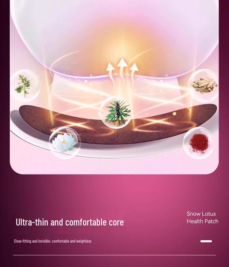 Absorventes Hidratantes Antibacterianos à Base de Ervas Snow Lotus para Higiene Íntima Feminina