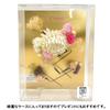 Hair ornament set Furisode ceremony White Chrysanthemum Gypsophila [Kyoto Usagido] 6-piece coming-of-age kk-001