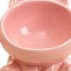 Ceramic Cat Feeder Bowl Dish Food and Water Raised Kitten for Dry Wet