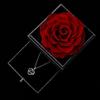 Preserved Real Rose With Love You Necklace In 100 Languages Gift Set