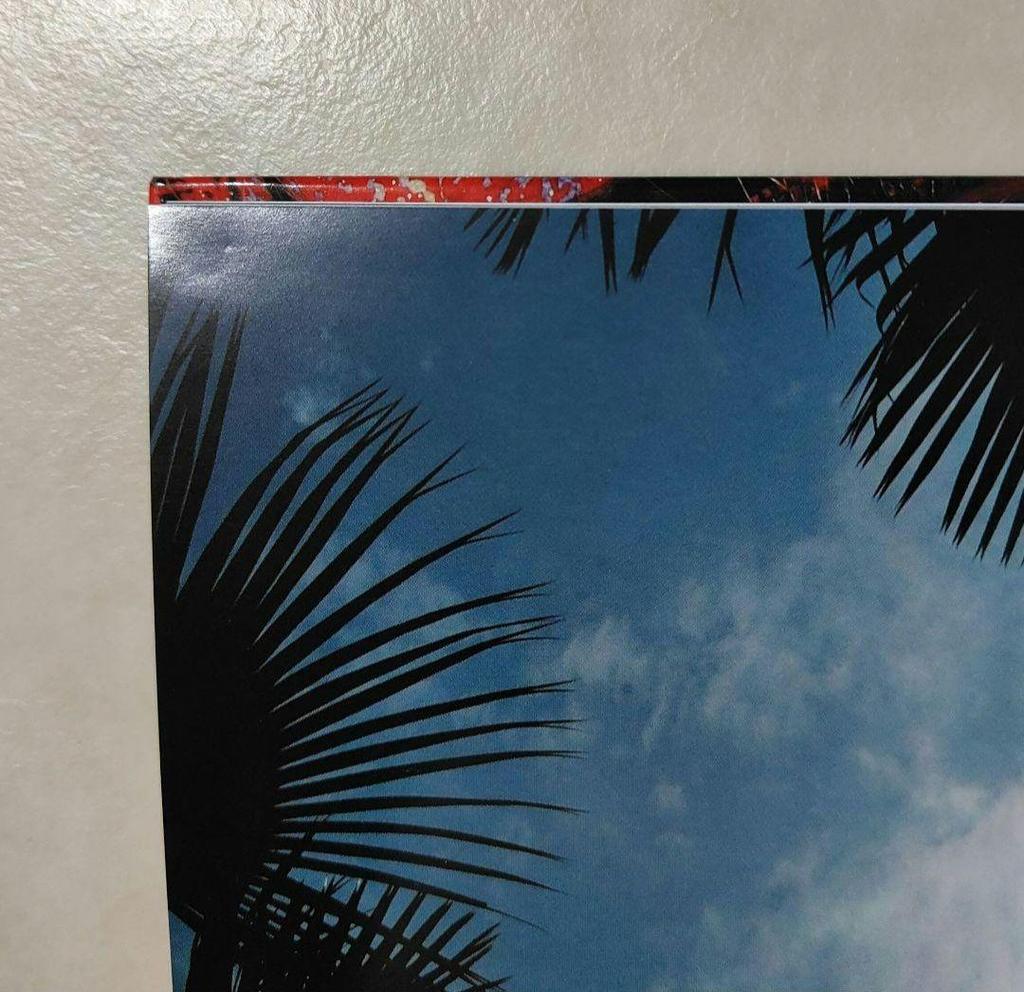 [USED] Hiroshi Tamaki COLOR Photobook Box, DVD, Collection, File, Memo, Poster