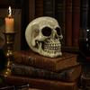 Halloween Party Zubehör Harz Totenkopf Figur, Realistisches Menschliches Kopfmodell, Gruselige Feiertagsgeschenk für Horrorfans Statue Innen Kamin Küche Gotisch