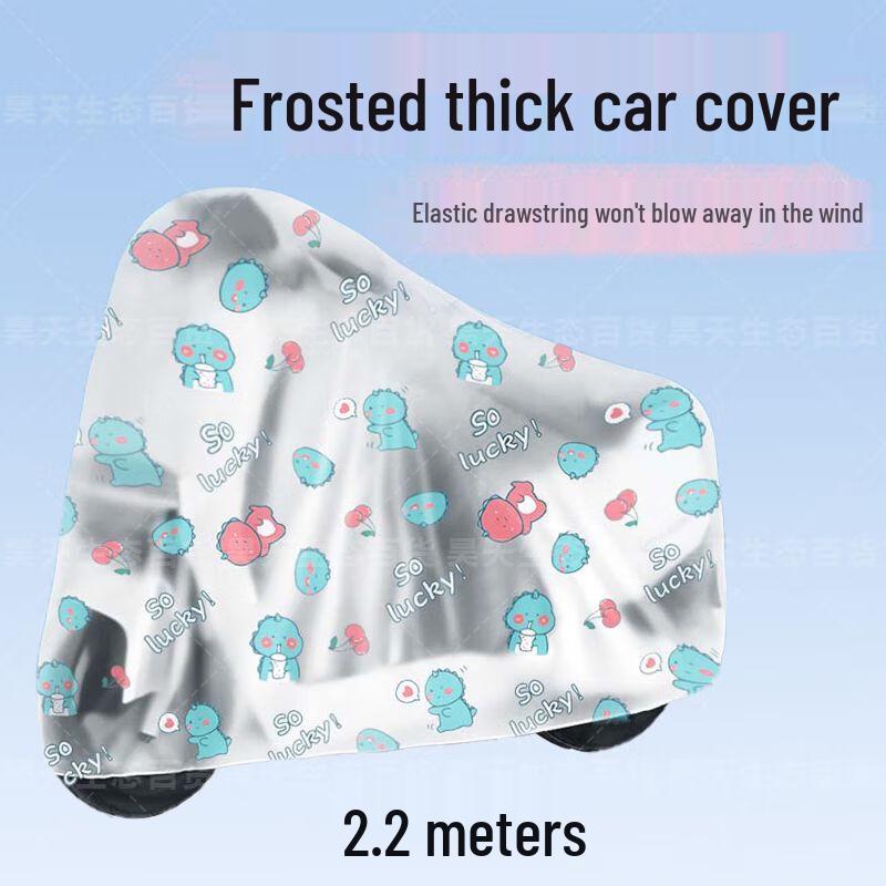 Shixun Electric Scooter Rain Poncho