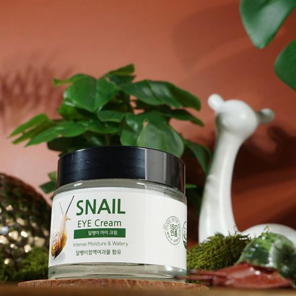 Oil And Moisture Balance Antler Centipede Root Eye Cream 70ml Snail