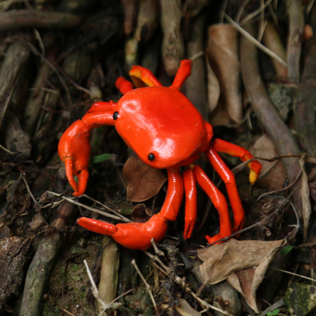 MagiDeal Artificial Lifelike Insects Model Cicada Figurines Home Garden Art Craft Decor DIY Tree Decor Kids Play Toy