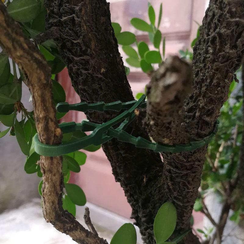 Justerbare Plast Plantekabelbånd Gjenbrukbare Kabelbånd for Hage Tre Klatrestøtte Plante Vinstokk Tomatstilk Klemme
