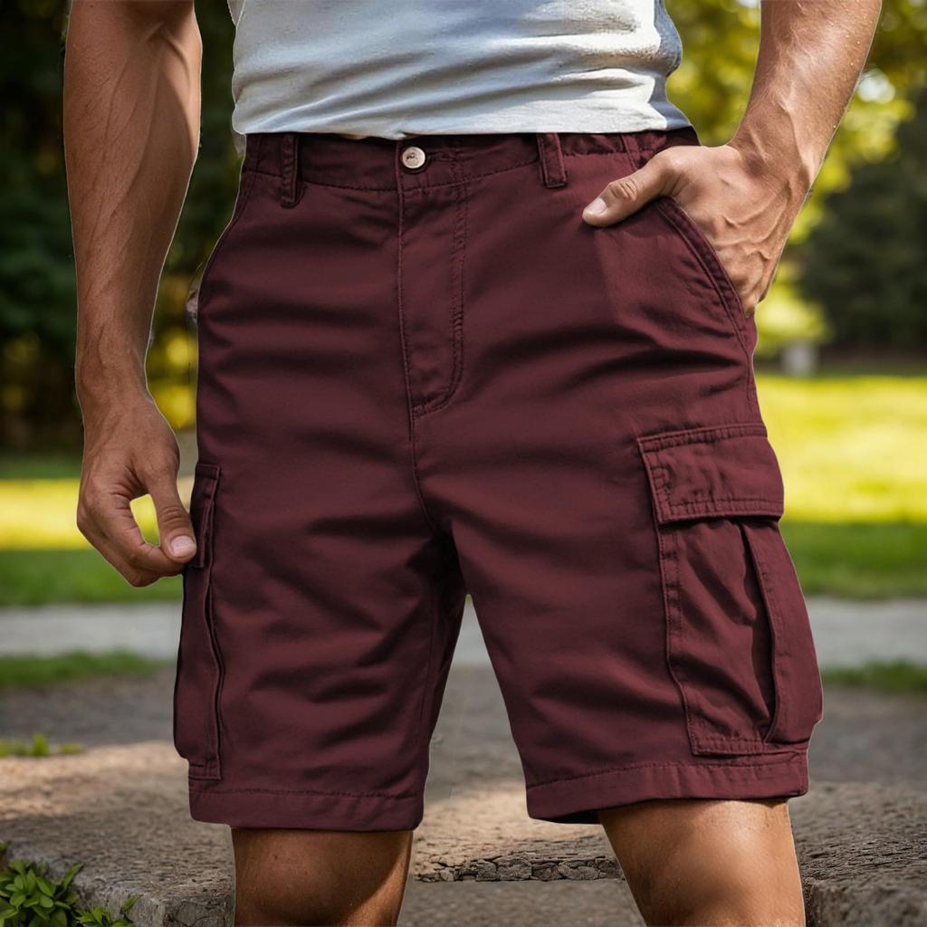 Men's Hiking Cargo Shorts Quick Dry Outdoor Travel Shorts For Men With Multi Pocket For Fishing Casual