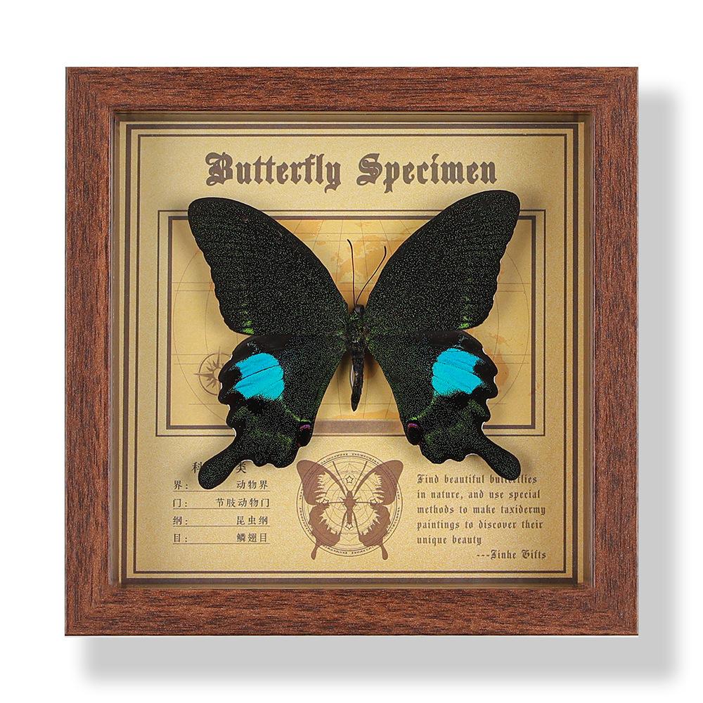 Real butterfly specimen photo frame, decorative painting, 3D ornament, handmade DIY, birthday gift, insect specimen
