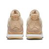 Air Jordan 4 Retro 'Shimmer' Women's Jordan DJ0675-200