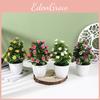 Artificial Hibiscus Flower 25pcs Miniature Potted Plants For Indoor Decor And Scene Setting