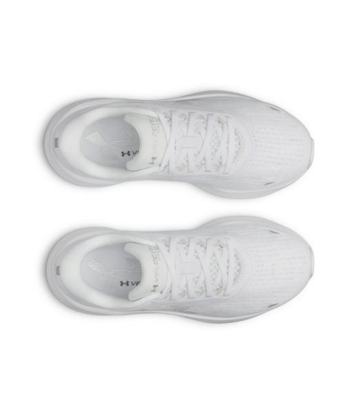 Under Armour Women's Velocity Pace Running Shoes 6009108-100 [Shipped from Korea] 100% Authentic