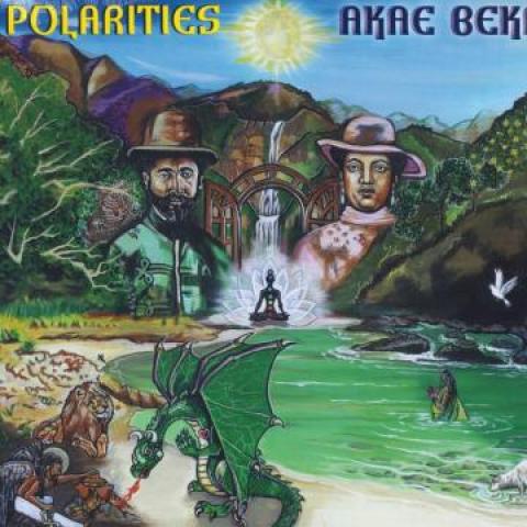 

LP Record AKAE BEKA - Polarities IGLP005 I Grade 2021 US Reggae, Ska & Dub