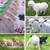 12-Pack Pritchard Nipple for Goats Milk Drink Bottle Nipple Soft Rubber Pritchard Teat for Small Animal Nursing Lambs Goat Kids Pup Dog Foal Calf