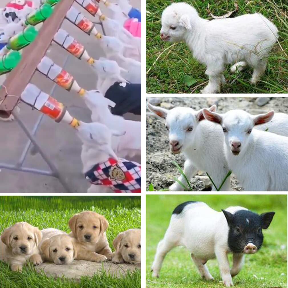 12-Pack Pritchard Nipple for Goats Milk Drink Bottle Nipple Soft Rubber Pritchard Teat for Small Animal Nursing Lambs Goat Kids Pup Dog Foal Calf