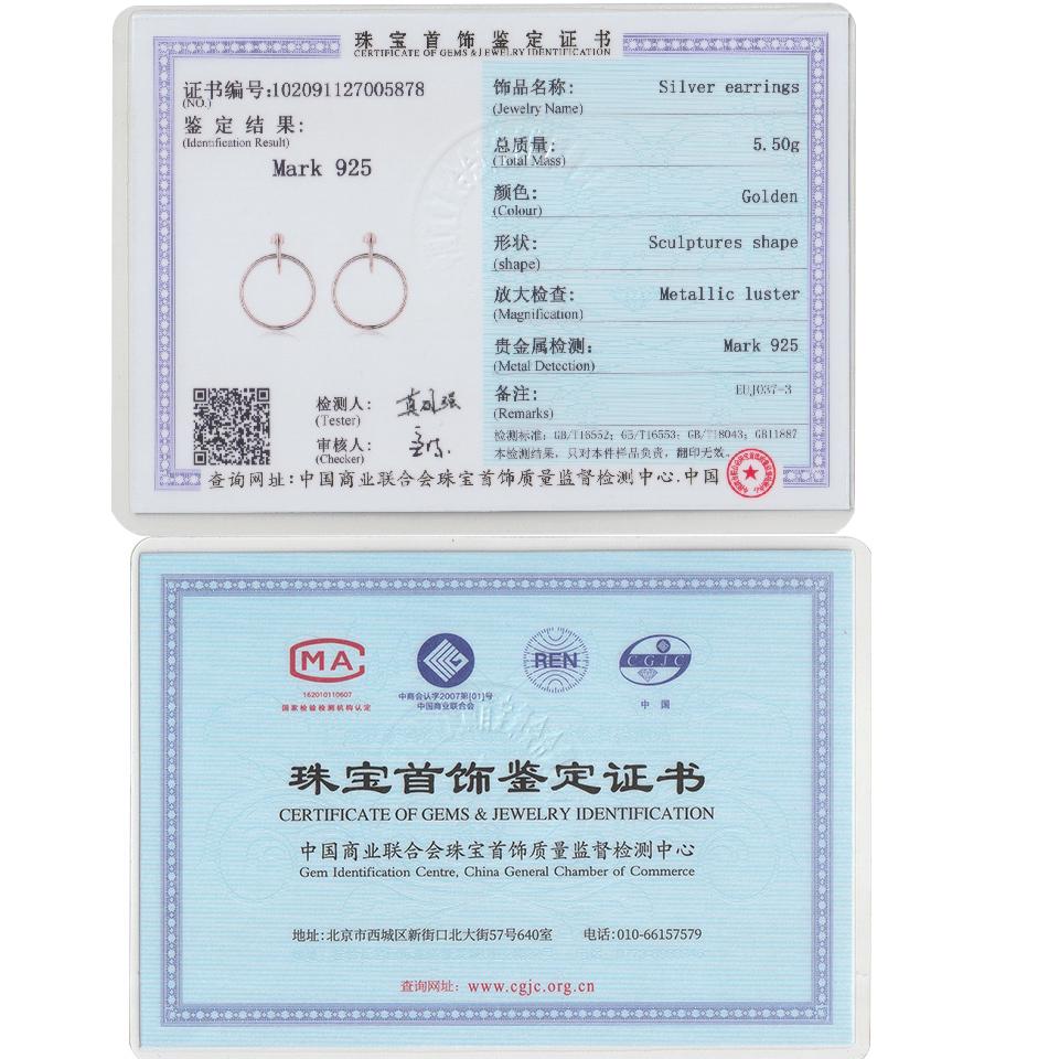 UMCHO Earrings Women Silver Hoop Earrings Embed Pretty Wedding Jewelry Fashion Accessories Party Gift