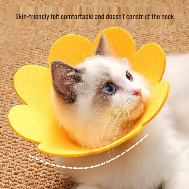 Elizabethan Cat & Dog Anti-Lick Collar for Flea Removal - British Shorthair Kitten Neck Ring & Headgear Pet Supplies