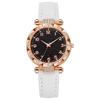 Top Brand Women Watches Elegant Brand Ladies Quartz Wristwatcehs Best Gifts Clock for Wife,Family,Friend