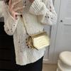 Small bag women's autumn 2024 new Korean version trendy fashion shoulder bag simple casual foreign style messenger small square bag