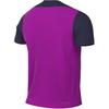 Nike FC Barcelona Dri-FIT Men's Slim-Fit Training T-Shirt Purple HJ6570-552