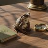 1Pcs Hand Painted Amphibious Animal Figurine Educational Realistic Toad Frog Figure Rubber Animal Model Toy For Kids