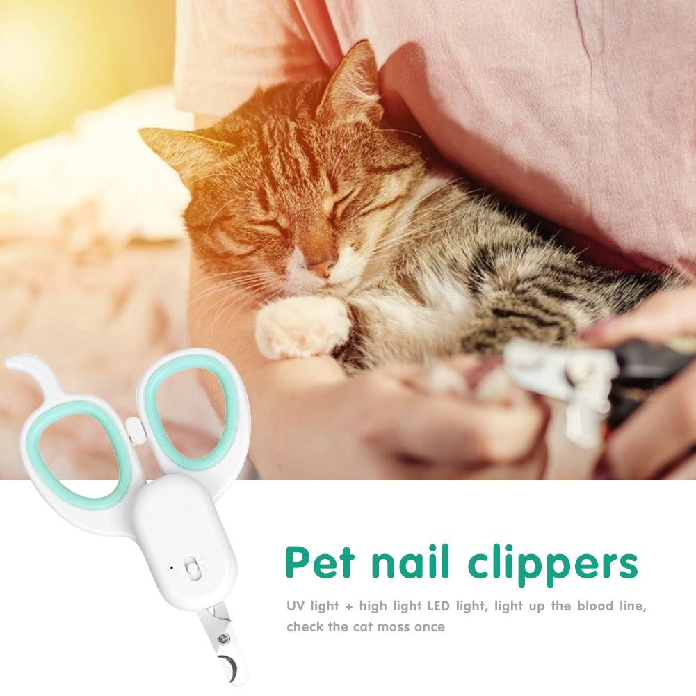 kitten clippers