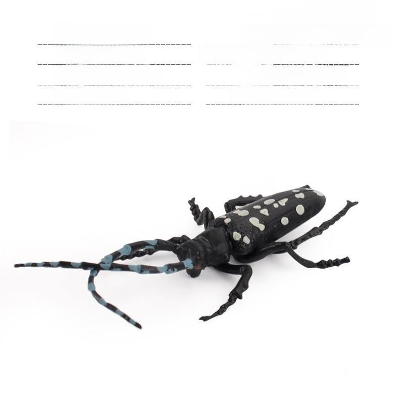 Insect Collectors Set With Pvc Wasps Ants Crickets Realistic Animal Models For Science Projects And Gifts