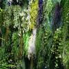 Artificial Spider Plant & Fern Hanging Decor - Trailing Green Vines for Wall & Ceiling
