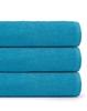 Turquoise Towel 50X90 450G