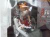 Tsuya Neon Genesis Evangelion Asuka Gothic Lolita Santa Ver Santa Clothes Color Limited Edition 1/7 +
