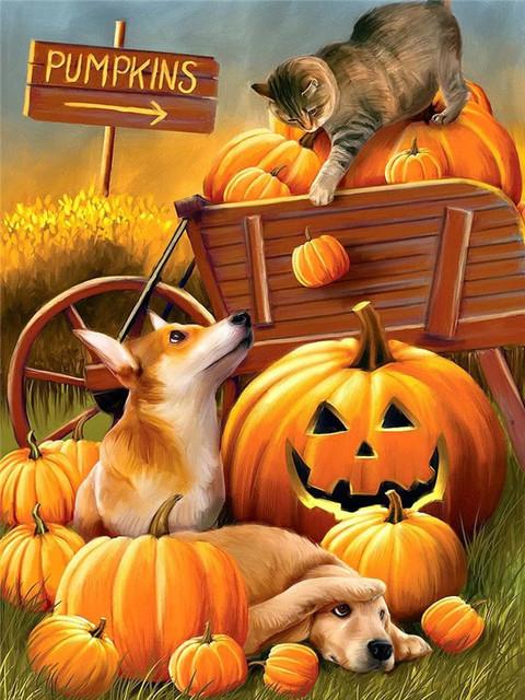 

Алмазная вышивка тыква поделки алмазная живопись Хэллоуин вышивка крестом набор мозаика мультфильм полный квадрат круглый настенное искусство Full Round 20x30CM