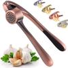 Garlic Press, Metal Garlic Crusher Mincer for Garlic & Nuts with Pearl Nickel Color, Professional Garlic Ginger Press Tool In Kitchen from DSafer,