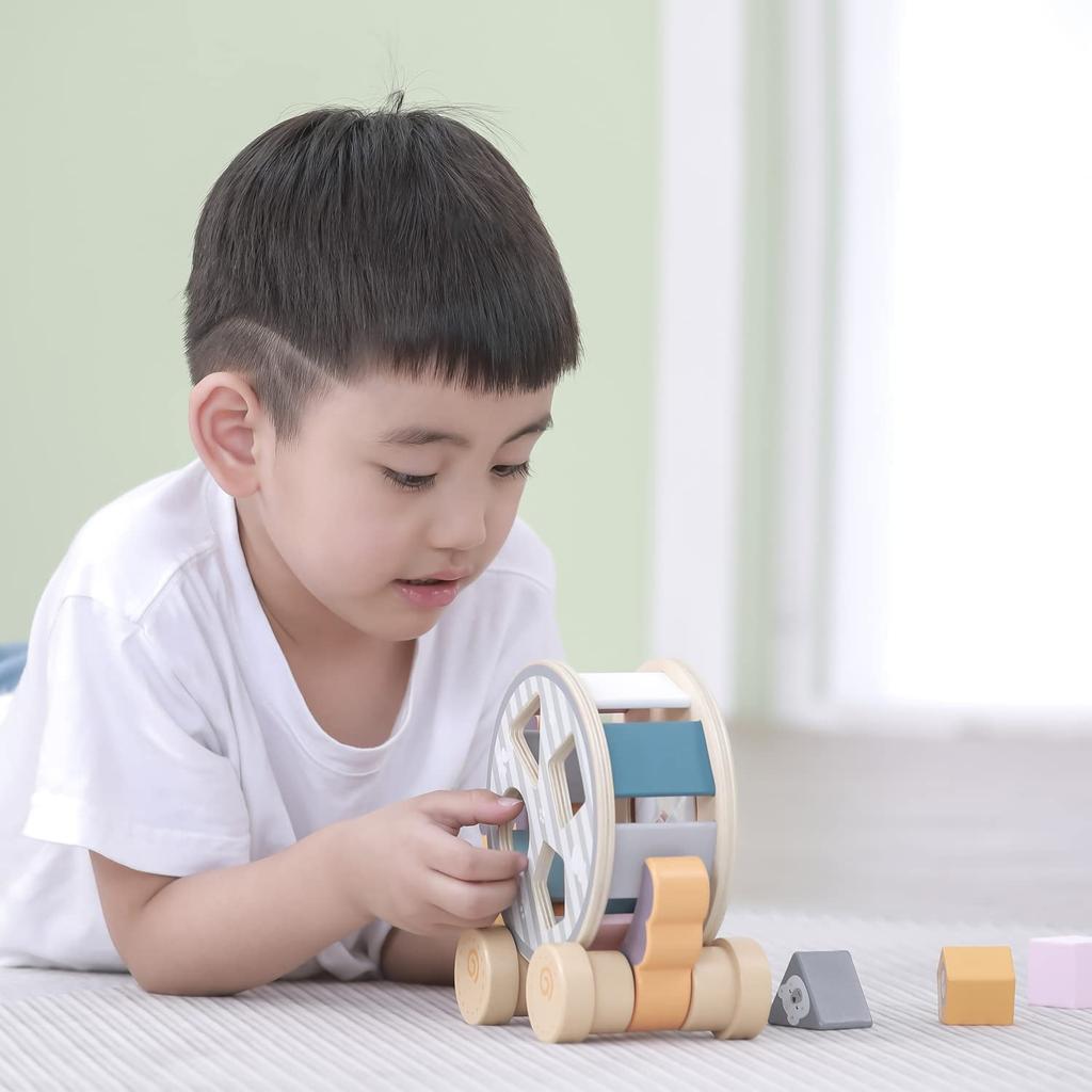 PolarB Polar B Hedgehog Sorting Pull Birthday Shape x x cm Toy, Gift, Matching, TYPR44025, 20.2 9.7 16.3 (x 1)