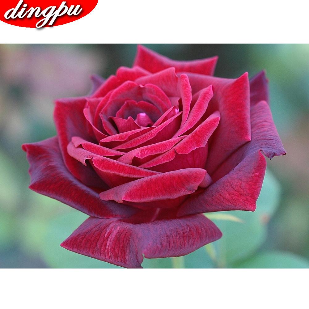 5D DIY diamant schilderij volledige ronde klaproos bloem kit diamant borduurwerk mozaïek decoraties thuis