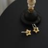 Fashionable Star Drop Earrings for Women Multifuntional Ear Jewelry for Every Occasion Pendant Earrings for Daily